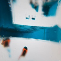 Akiras Edge - Single - bleach.bath