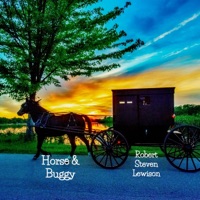 Horse & Buggy - Single - Robert Steven Lewison