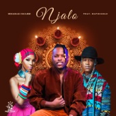 Njalo (feat. Mafikizolo) artwork