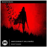 Night Shade - Single - Amir Sohrab & Milu Ibañez