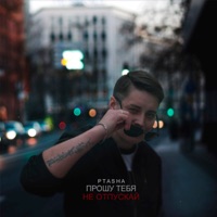 Прошу тебя не отпускай - Single - Ptasha