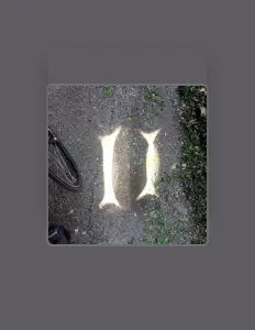 Luister naar mereology, bekijk muziekvideo's, lees de bio, bekijk de tourdata, en meer!