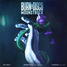 Moonstruck (feat. Anjo King) Burn The Disco