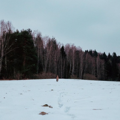 nopensarte+ - Single