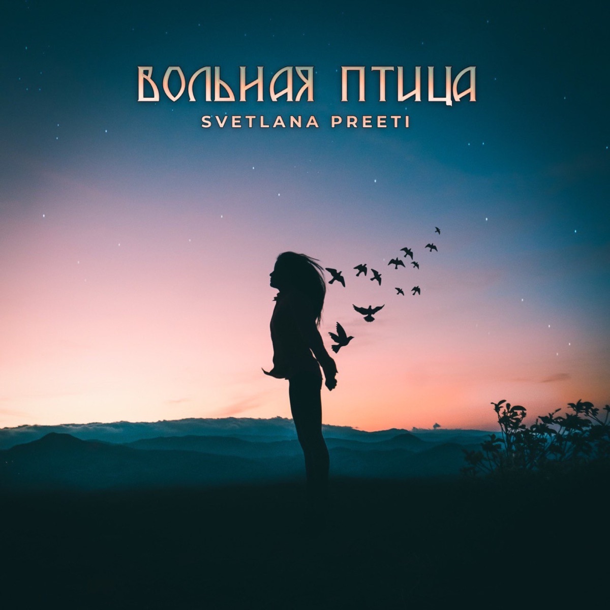 Альбом «Вольная птица - Single» — Svetlana Preeti — Apple Music