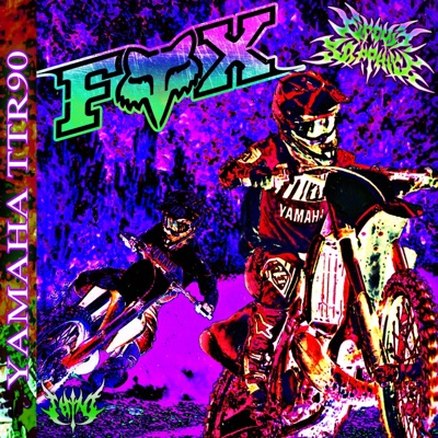 Yamaha Ttr90 - Single