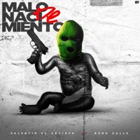 Malo de nacimiento (feat. Bubu Calle) - Single - Valentin el Artista