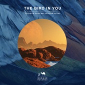 The Bird In You (feat. Ardavan Hatami) artwork