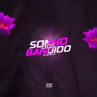 Sonho dos Bandido (feat. Mc JV & Mc Magrinho) - Single - Dj Dg Do Sn