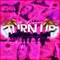 TAKE CONTROL (feat. Voodoo808) - Tryplsyx Dopelphin lyrics