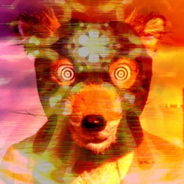 Murky Trevor P