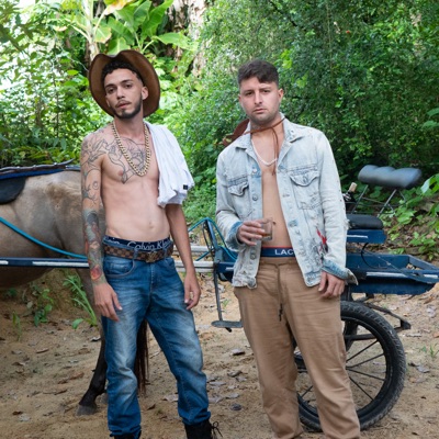 Bandido da Roça (feat. Mc Faro & WR no Beat) - Single