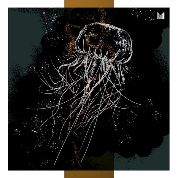 Concept 5 - Single