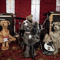Being a Dog - Single - The Underdogs