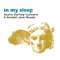 In My Sleep - Austin Hartley-Leonard & Kendall Jane Meade lyrics