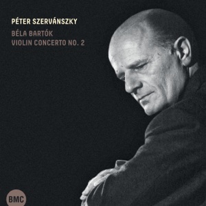 Violin Concerto No. 2: II. Andante tranquillo