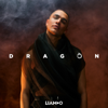 Dragon - LIAMOO