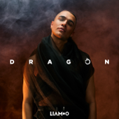 Dragon - LIAMOO Cover Art