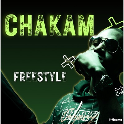 Un temps de freestyle