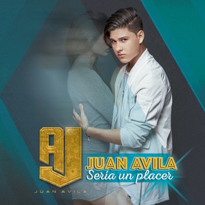 Seria un Placer - Single