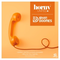 Why Do You Call Me (Dave Kurtis Remixes) - Single - Horny United & Irvin Doomes