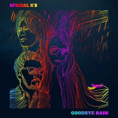 Goodbye Rain - Single