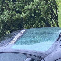 Incomplete - Single - Roost