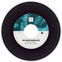 NO LOVE DUBPLATE cover art