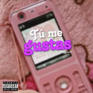 Bad Bunny & Prod Socram – Tú Me Gustas (AI) – Single [iTunes Plus M4A]