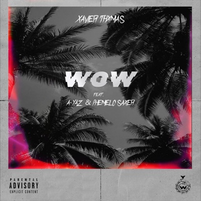 WOW! (feat. A-Yaz & Phemelo Saxer) - Single