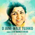 Jane Wale Tujhko