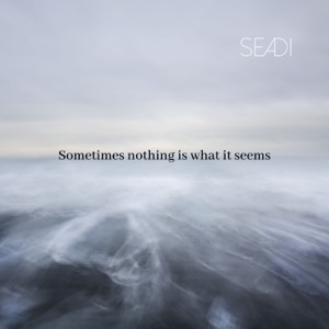 Sometimes Nothing Is What It Seems (Instrumental) - Single
