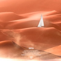 Паруса (feat. Amore) - Single - salimoqa