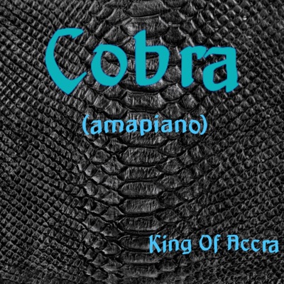 Cobra (Amapiano) - Single