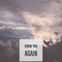 Know You Again - Single - Brophesor X