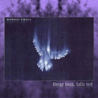 Fliege Hoch, Falle Tief - Single - KINGG TRILL & Ya-Ya