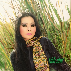 Tình Nhớ