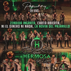 Popurrí de Rancheras: Zenaida Ingrata/ Carta Abierta/ Ni El Dinero Ni Nada/ La Novia Del Pajarillo (En Vivo) - Single