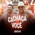 Cachaça Ou Você
