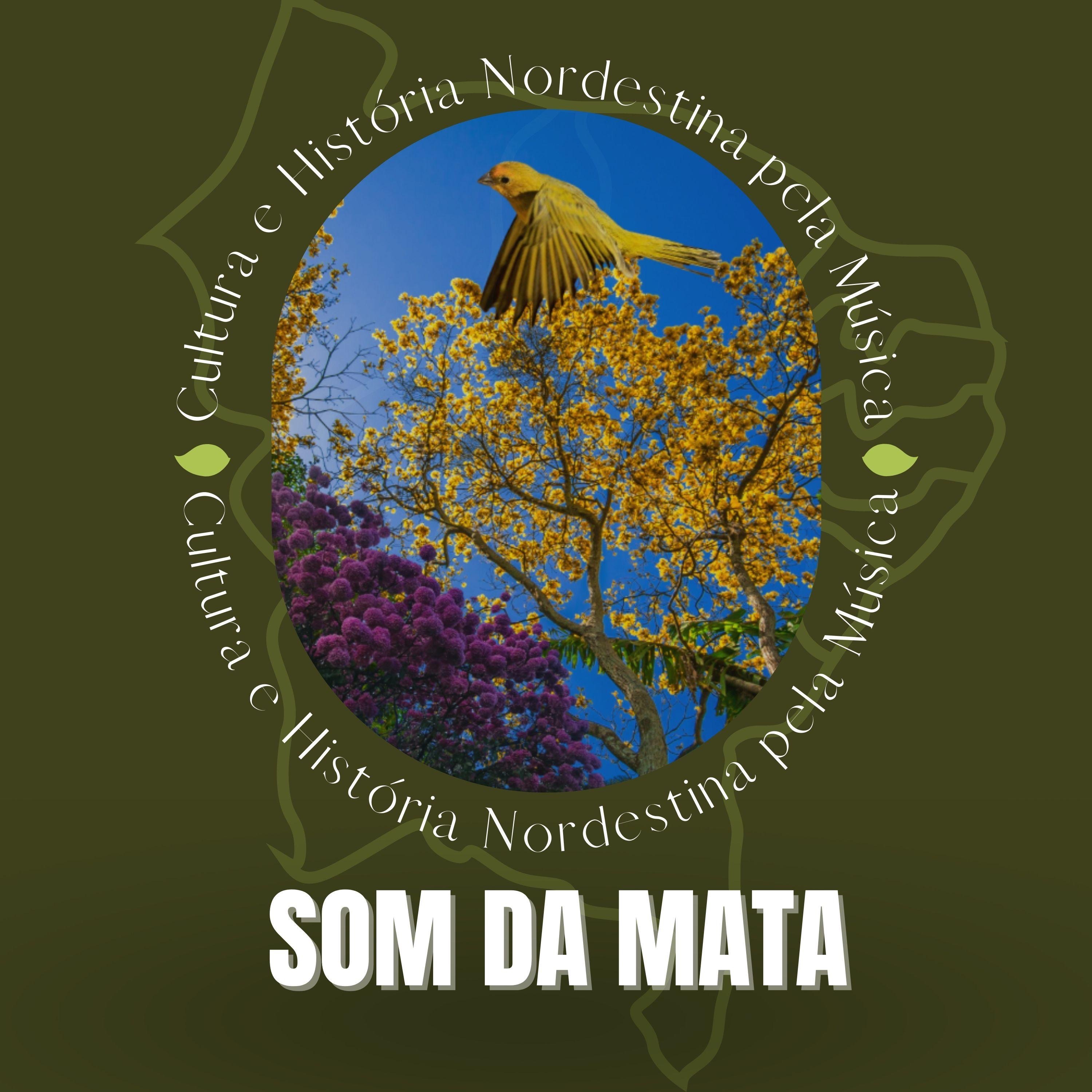 Cultura e Vida - Single