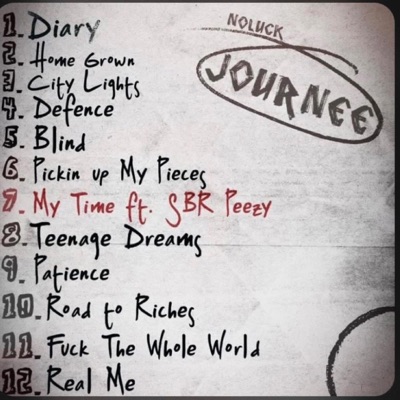 Fuck the whole world - Single