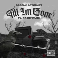Till Im Gone (feat. Raidenrush) - Single - Carolj Afterlife