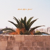 Need More Jazz? - Single - Hanakoto Bang