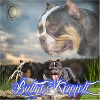 BULLYS KENNELS - Single - Onceavos Soldiers, Once Beatz & RecKillAgs
