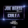 Culea (feat. D**o Hernandez) [Alex Nocera Remix] - Single