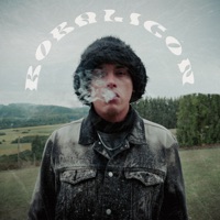 Bobalicón (feat. Frainstrumentos) - Single - Rolando Fino & Leo Jah