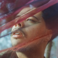 WINTERSKIN - Otis Mensah