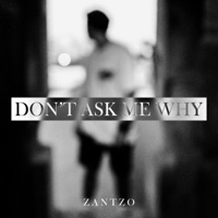 Don't Ask Me Why - Single - Zantzo