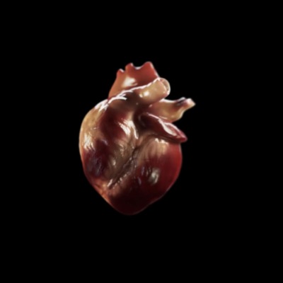 Meu Pulso Cai - Single