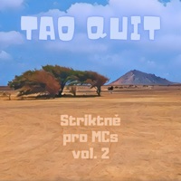 Striktně pro MCs Vol. 2 (Instrumentals) - Tao Quit
